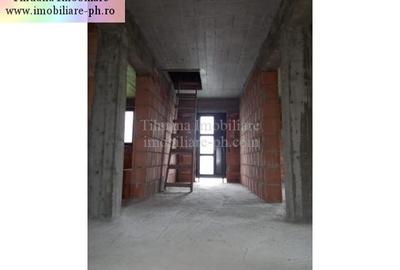 Tihuana Imobiliare:casa de vanzare (la rosu) - Lipanesti - 10