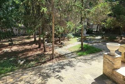 Baneasa Teisani vila 7 camere teren 1000 mp - 4