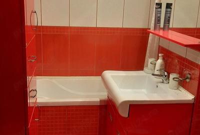 Apartament cu 3 camere decomandat în Nufărul - 3