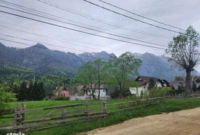 Teren de 2675 mp, în Poiana Țapului - 3