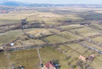 Teren de 5967 mp, în Bran - 2