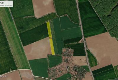 Teren agricol extravilan de 30700 mp, în Ciolpani - 2