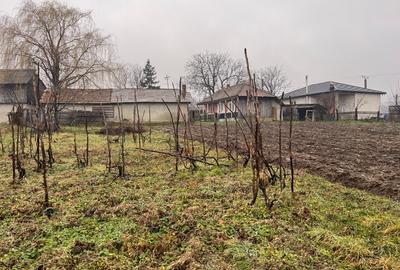 Teren Construcții intravilan de 2700 mp, în Oneaga - 5