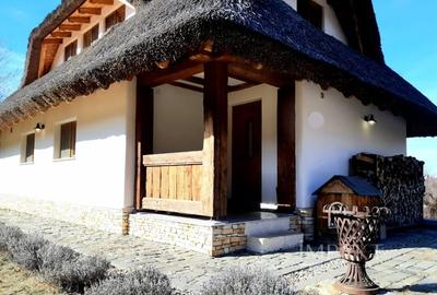Casa traditionala de vis, aproape de Cluj-Napoca - 2