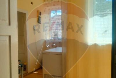 Casa la tara in satul Retis, comuna Bradeni, aproape de ... - 28