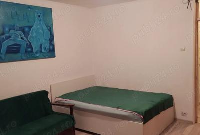 Auchan Vitan garsoniera confort 1, 32 mp - 5