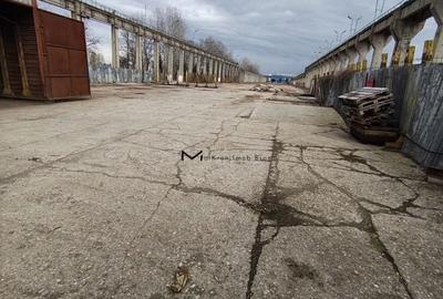 Hala industriala 420mp si Platforma betonata de inchiriat 10000mp - 2