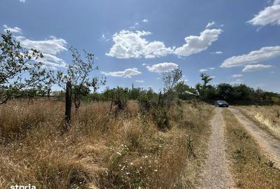 Teren de 1000 mp, în Salcia - 1