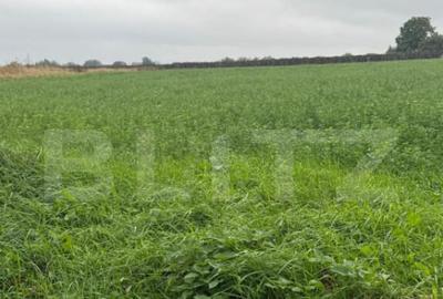 Teren de 1213 mp, în Central