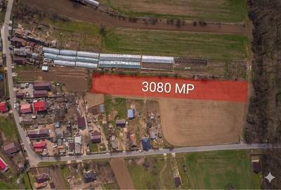 Teren Construcții intravilan de 3083 mp, în Nuci - 1