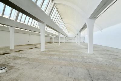 Hală industrială de producție/depozitare - Jilava, Str. Gării, 1797 mp - 8
