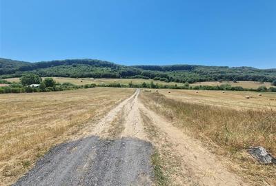 RECO parcele Betfia - 3
