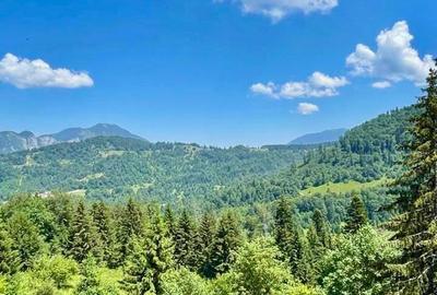 Imobil NOU, in inima muntilor, 24 apartamente - 3