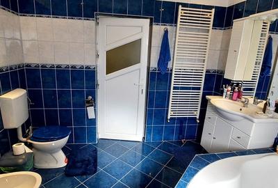 Vila cu 7 camere cu suprafata utila de 404mp spre vanzare in Seica Mare - 14