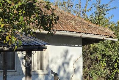 Casă cu 2 camere cu Teren 3500 Mp în Crasna - 2