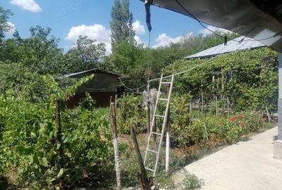 Casă cu 6 camere cu Teren 3000 Mp în Puieni - 5