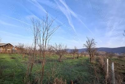 Casă în Pleșoiu (Nicolae Bălcescu) - 17