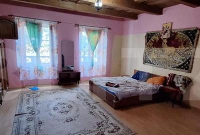 Casa batraneasca cu anexe , teren de 4200mp, zona Madaras - 10
