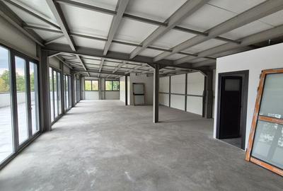 Spatiu comercial 125 mp utili + 100 mp terasa - Basarabia - Muncii - 5