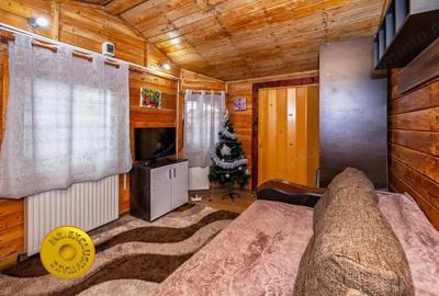 Doua case in aceeasi curte Pitesti, Strada Turcesti - 9