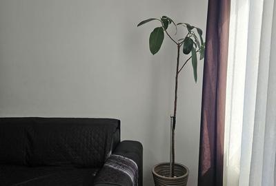 Apartament cu 2 camere decomandat în Sud - 9