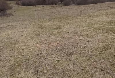 Casă cu 2 camere în Central - 6