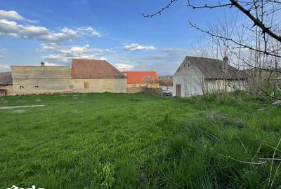 Teren de 5370 mp, în Roșia - 9