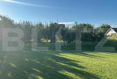 Casa spatioasa cu teren generos, Unirea - 28 ari, 230 mp utili - 5