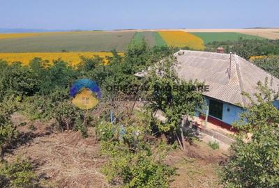 Teren de vanzare - Margineni 5920 mp - 16