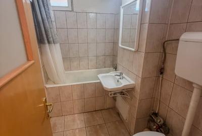 Apartament cu 2 camere semidecomandat în Teiul Doamnei - 9