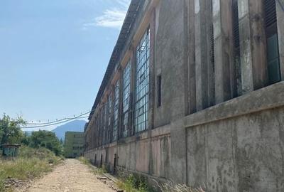 Oportunitate investitie - Vanzare imobil Platforma Industriala Roman, Brasov - 2