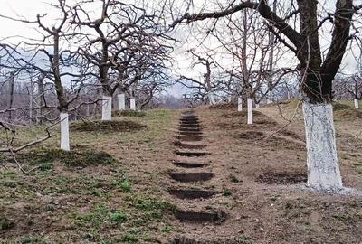 Casă cu 2 camere cu Teren 2800 Mp în Boțești