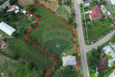 Casa cu 4 camere Suraia - 17