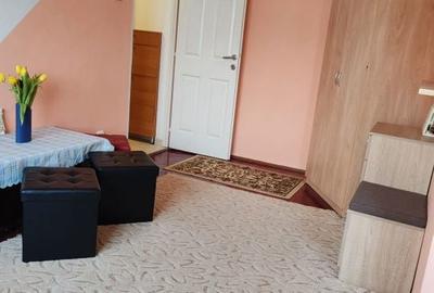 Apartament cu 2 camere semidecomandat în Săsar - 2