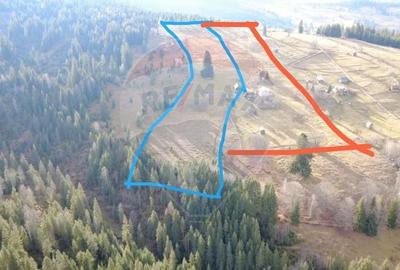 Teren Construcții intravilan de 26232 mp, în Dorna-Arini - 2