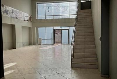 Spatiu comercial stradal + gradina de inchiriat in zona Grozavesti / Sector 6 - 3