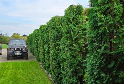 Casă individuală cu 4 camere cu Teren 612 Mp în Central - 8