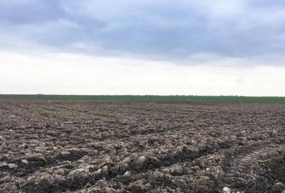 Teren de 75000 mp, în Costești - 1