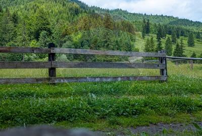 Ferma de vanzare, teren 21436 mp intravilan, Cosnea, Agas - 12