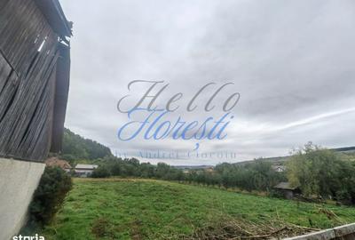 Spațiu comercial, în Nădășelu