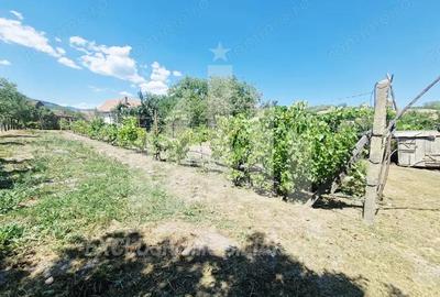 Casa cu gradina in Cricau - 9