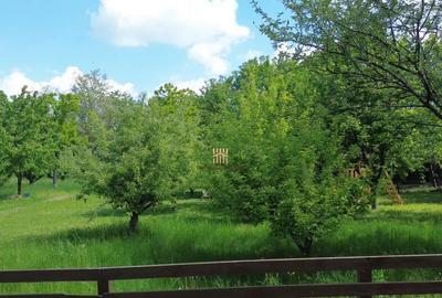 Teren de 2500 mp, în Central - 15