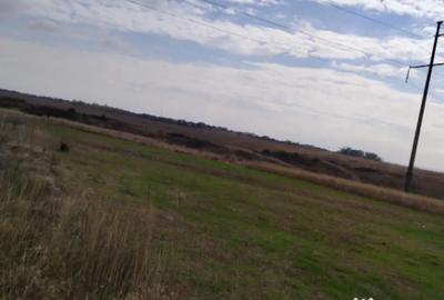 Teren de 800 mp, în Malu Mare