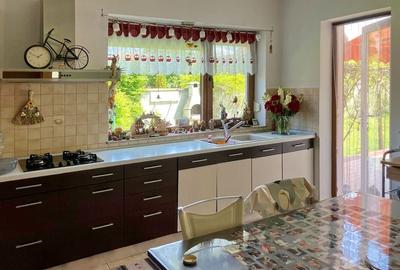 Vanzare Casa Harman - 5