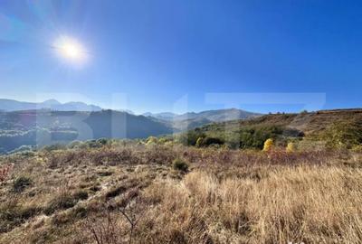 Teren de 4000 mp, în Râmeț - 2