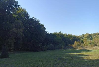 Spațiu comercial, în Făget - 1