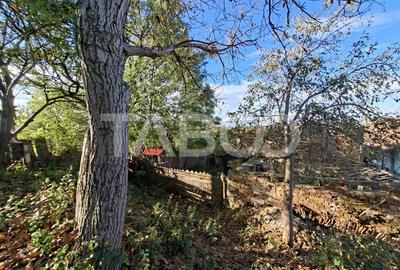 Casa cu 6 camere 720 mp teren in sat Bungard din judetul Sibiu Casa cu 6 camere 720 mp teren in sat Bungard din judetul Sibiu - 28