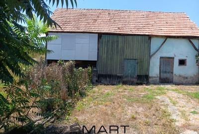 Casă individuală cu 4 camere cu Teren 2000 Mp în Alțina - 7