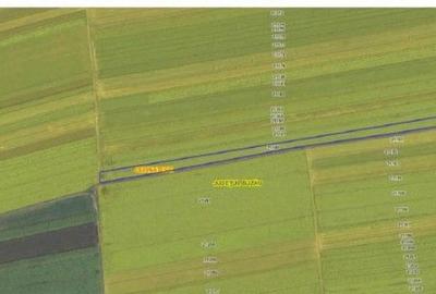 Teren de 6390 mp, în Cernătești - 1