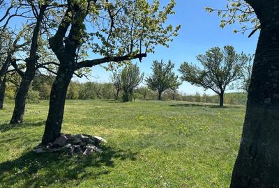 Spațiu comercial, în Orșova - 3